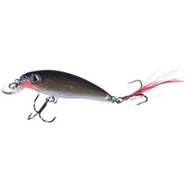 Rapala X-Rap 08 Fishing lure, 3.125-Inch, Purple Gold