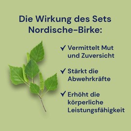 spitzner 2 Fragrances Sauna Infusion Nordic Birch Set of 2 Value Pack with 190 ml Each