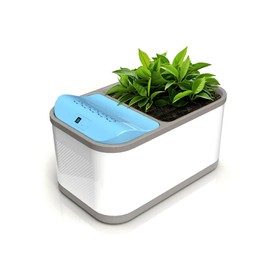 Eva-Dry Dewplanter Compact 2-in-1 Dehumidifier & Self-Watering Indoor Planter - Dehumidify Small Spaces While You Grow Your Favorite Small Plants, Herbs, and Succulents