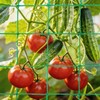 Trellis Netting for Climbing Plants, 6.6x9.85 FT Heavy Duty Garden