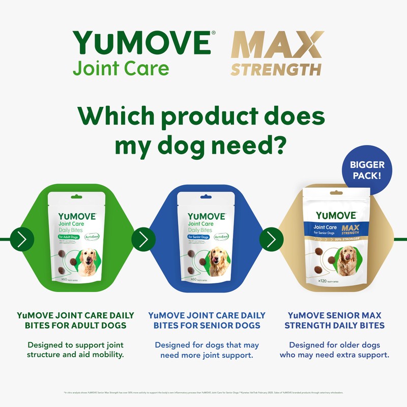 YuMOVE Senior Max Strength for Dogs Daily Bites 120 pack
