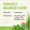 Celestial Seasonings Sleepytime Wellness Detox Tea, Caffeine Free, 20 Tea