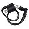 BIKER BOOST Bobina De Encendido Para Motocarro Envío Gratis