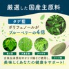 Yuzukitei Indigo Blue Juice, 1 Box (0.1 oz (3.5 g)