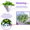 LaLaGreen Succulent Wall Planters - 2 Pack, 12 Inch Large