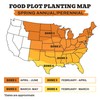 Whitetail Products Gone Wild, Screening Forage Sorghum Food Plot Seeds,