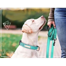 Reflective Nylon Dog Leash Heavy Duty, Two Handles with Padded for Extra Control Outside Durable Training Lead for Small Medium Large Breed Pet Dogs, 5ft Long 1-inch Width, Black