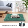 BVAGSS Dog Bed Mat,Reversible Crate Pad, Memory Foam Beds, Soft