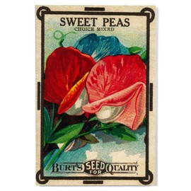 Lantern Press 12x18 Inch Premium Wood Sign, Ready to Hang Wall Decor, Sweet Peas Seed Packet