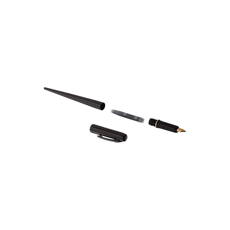 Platinum Fountain Pen, Black Body (DPQ-700A1)