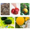 Ruayia Pack of 50 Watermelon Nets, Melon Nets for Garden,