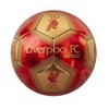 Liverpool FC Signature Skill Ball (One Size) (Red/Gold)