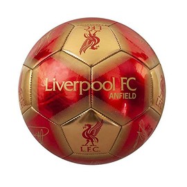 Liverpool FC Signature Skill Ball (One Size) (Red/Gold)