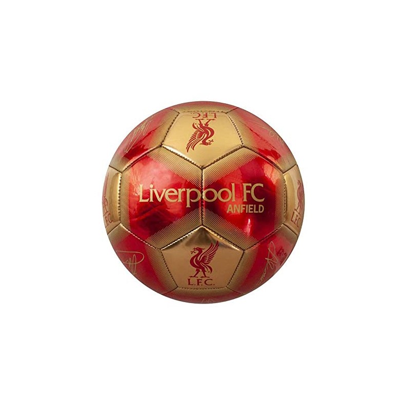Liverpool FC Signature Skill Ball (One Size) (Red/Gold)