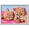 Ravensburger CreArt: Gattini amici – Dipingere con i Numeri per