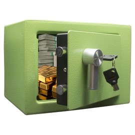 Yuanshikj Steel Safe Box - Key Locked, 0.2 Cubic Ft Small Home Safe for Cash & Jewelry (LIGHT GREEN)