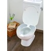 Kokubo Kogyosho Petapon Toilet Seat Monotone (4 Patterns x 1