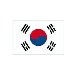 NEGNME 4 PCS Flag Stickers - Korea Flag Stickers Decals for Cup Computer Laptop Car Bumper Window Helmet Musical Instrument with Smooth Surface