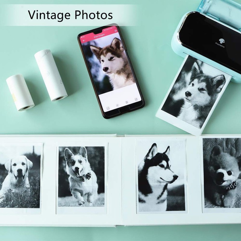 Phomemo 80 mm 3 Inch Sticker Paper - Black on