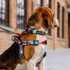 WOLFGANG/Wolfgang MixTape Leash (L Size) Width 1.0 x Length 72.0