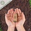 HUGGING TREE Natural Silk Dental Floss with Glass Dispenser |