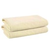Chamois Leathers for Car 60x40 cm, Large Absorbent Shammy Leather