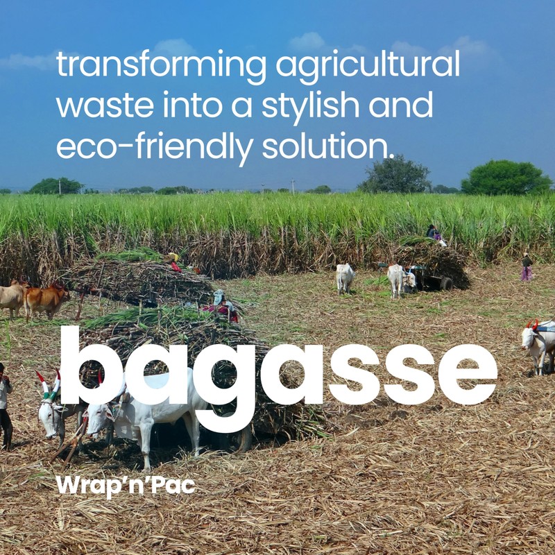 Wrap n Pac 7 inch Round Disposable Biodegradable Bagasse Sugarcane