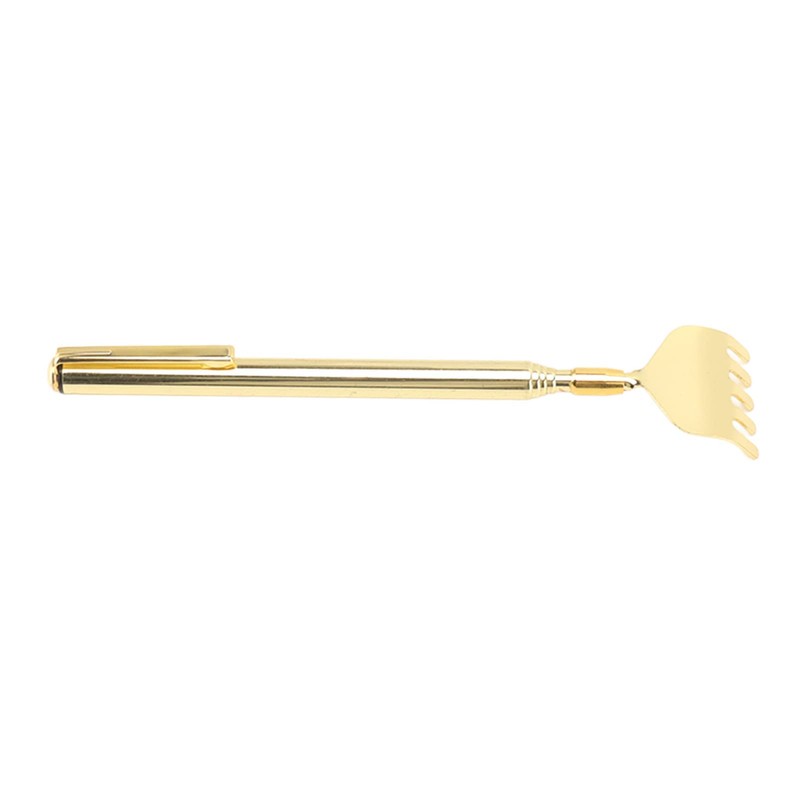 Wisecoco 4Pcs Extendable Back Scratcher, Stainless Steel Portable Telescoping Hand