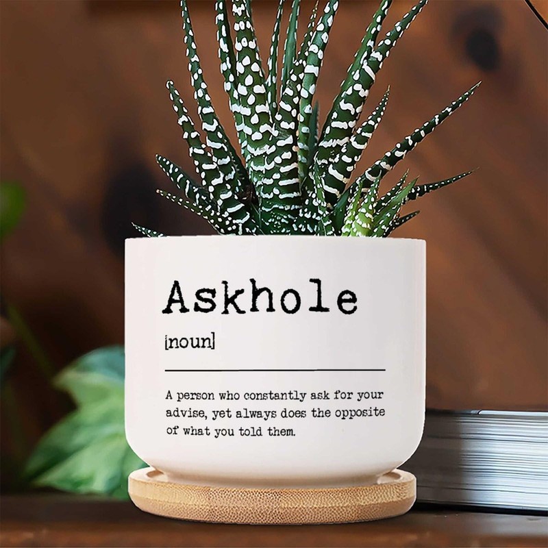 DecStic Askhole Definition Planter Ceramic Bible Verse Round Flower Pots