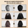 Kaisasa Shampoo Con Tinte Cubre Canas Con Aceite De Argán