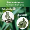 Sauna Infusion Sauna Infusion Steam Bath Concentrate Composition of Eucalyptus