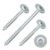 Flat Head Screws with Torx Drive (TX) | Galvanised |