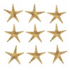 Labriciyon 50 Pcs Natural Starfish Star Seashell Beach Craft, for