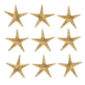 Labriciyon 50 Pcs Natural Starfish Star Seashell Beach Craft, for DIY Decor, Vase Fillers