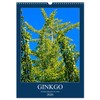 Ginkgo (Wandkalender 2026 DIN A3 hoch), CALVENDO Monatskalender: Ginkgobaum und