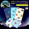 Cluster Backed Antibacterial Type Kids Half Handkerchief Set of 5