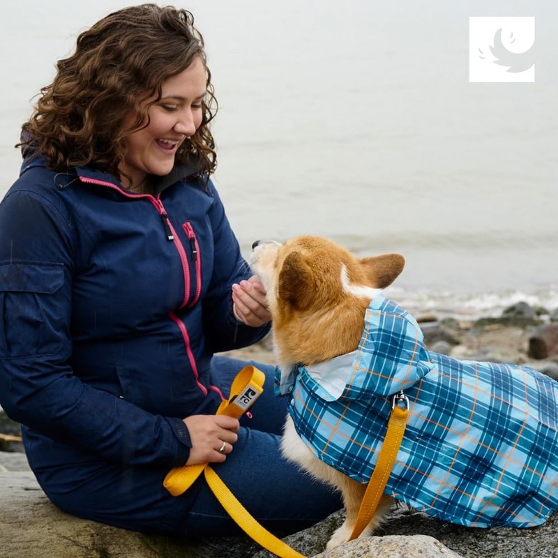 RC Pets Packable Rain Poncho, Dog Coat, Small, Raindrops