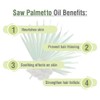 Crysalis Crysalis Saw Palmetto (Serenoa repens) Oil - 1.69 Fl