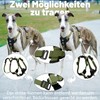 PAWORLD Dog Safety Harness, Anti-Pull Dog Harness, Panic Harness for