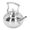 Stainless Steel Teapot Tea Kettle with Removable Filter High Temperature