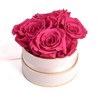 Rosmarie Schulz Heidelberg Rose Box, White Round Infinity Rose, Flower