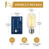 4 Pack LED Edison Bulbs, 4W Edison Light Bulbs, Antique