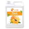BOBA2U CONCENTRATED SYRUP 5.5 LBS (Peach)