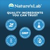 Nature's Lab Ceylon Cinnamon 1,200 mg per Serving - Supports