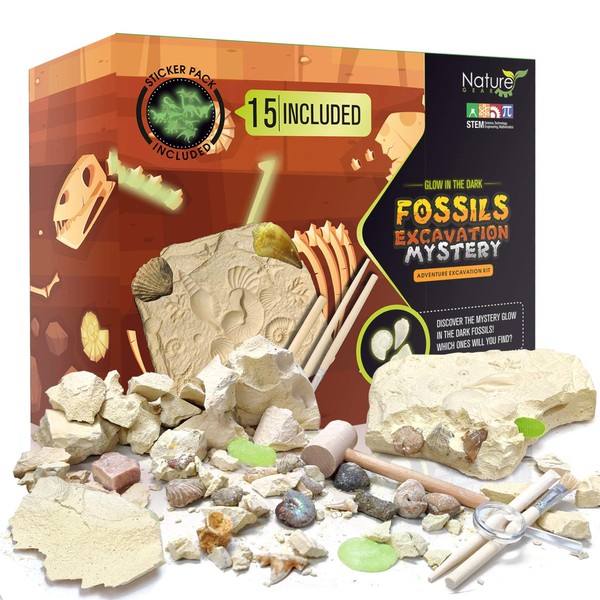 Dino Fossil Dig Kit for Kids 4-12 Discover Learn with Interactive Guide, Realistic Bones Excavation Tools Paleontology Science Prehistoric Dinosaurs Archaeology Adventure STEM Educational Toy Ages 4-8
