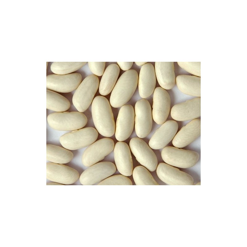 Zursun Heirloom Dry Cannellini Beans 24 oz each (2-Pack)
