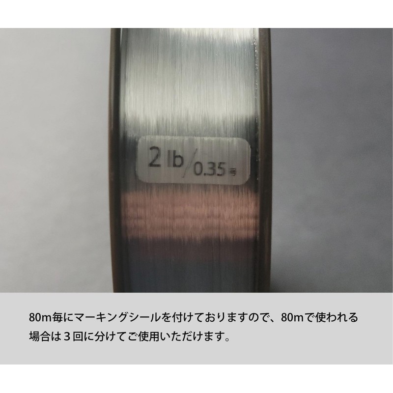 UNITIKA Strong Ester 844.8 ft (240 m) Clear 2LB (0.35)