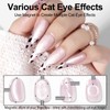 NXJ INFILILA 0.5 OZ Cat Eye Gel Polish, 15ML Holographic