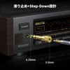 UGREEN 3.5mm to 6.35mm Converter Adapter Stereo Mini Plug (Female)