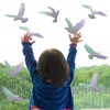 Anti-Collision Alert Stickers Alert Bird Window Clings Prevent People and